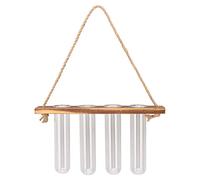 OEBUAFI Estación de Propagación de Plantas de Montaje en Pared con 4 Orificios, Planta Colgante de Pared, Terrario, Macetero de Tubo de Ensayo de Vidrio Colgante con Soporte de Madera para (Antiguo)