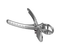 OEBUAFI Herramienta Portátil para Cascanueces con Clip de Castaña con Diseño de Resorte para un Uso Fácil en Casa y en Viajes Fabricada con Acero Inoxidable 304