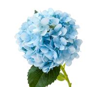 OEBUAFI Hortensia de Simulación para Fiestas y Decoración del Hogar, Flores de Seda Artificiales No Tóxicas, 1 Flor Falsa Elegante (Blue)