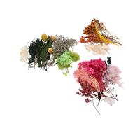 OEBUAFI Paquetes de Flores Secas, Flores Artificiales para Manualidades DIY, Decoración del Hogar con Colores Vibrantes para Decoración de Centro de Mesa para Fiesta de Boda