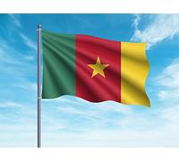 Oedim Bandera de Camerún | 150x85cm | Reforzada y con Pespuntes | Bandera con 2 Ojales Metálicos y Resistente al Agua
