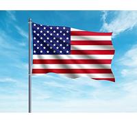 Oedim Bandera de Estados Unidos | 150x85cm | Reforzada y con Pespuntes | Bandera con 2 Ojales Metálicos y Resistente al Agua