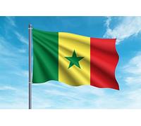 Oedim Bandera de Senegal | 150x85cm | Reforzada y con Pespuntes | Bandera con 2 Ojales Metálicos y Resistente al Agua