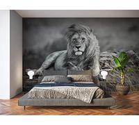 Oedim Fotomural Vinilo para Pared León Blanco y Negro | Vinilo Económico | Fotomural Vinilo Decorativo | 500 x 300 cm | Decoración comedores, Salones, Habitaciones