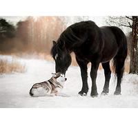 Oedim Fotomural Vinilo para Pared Perro y Caballo en la Nieve | 100 x 70 cm | Salones