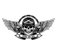 Oedim Pack 5 Pegatinas Calavera Alas | 9 x 4 cm | Adhesivo de Fácil Colocación | Pegatina para Coche Económica y Resistente