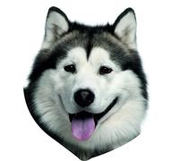 Oedim Pack 5 Pegatinas Coche Perro Husky 16 x 16 cm | Adhesivo de Facil Colocación | Pegatina para Coche Económica y Resistente