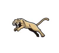 Oedim Pack 5 Pegatinas Puma Marrón | 12 x 6 cm | Adhesivo de Fácil Colocación | Pegatina para Coche Económica y Resistente