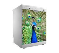 Oedim Vinilo para Lavavajillas Pavo Real | Varias Medidas 50x65cm | Adhesivo Resistente y de Facil Aplicación | Pegatina Adhesiva Decorativa de Diseño Elegante