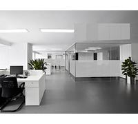 Oedim Vinilo Polimérico al Acido para Decoración de Cristales 300x152cm | Traslucido Gris Claro Decorativo | Vinilo Adhesivo | Autoadhesiva Sin Pegamento | Pegatinas Adhesivas | Vinilos para Negocios