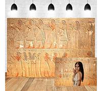 OERJU Fondo de fotografía de jeroglíficos del antiguo Egipto de 10 x 8 pies, diseño de arte de pared, arqueología, jeroglífica egipcia, escultura de piedra, fondo de viaje, recorrido fotográfico,
