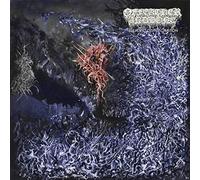 Of Feather And Bone - Sulfuric Disintegration [Vinilo]