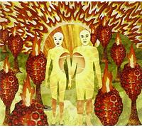 Of Montreal - Sunlandic Twins, The