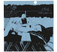 Of Montreal - The Past Is A Grotesque Animal