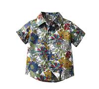 ofeirhz Camisa para niños pequeños, ropa casual, manga corta, camisetas de playa, camisetas de dragón, camisetas para niños (marrón, 4-5 años)