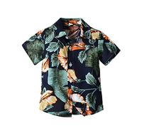 ofeirhz Camisa para niños pequeños, ropa casual, manga corta, camisetas de playa, camisetas de dragón, camisetas para niños (azul marino, 2-3 años)