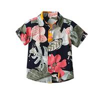 ofeirhz Camiseta de manga corta para niños pequeños, camiseta de manga corta, camisetas de playa, camisetas de dragón para niños (rojo, 18-24 meses)