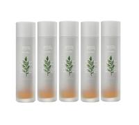 [OFERTA]MISSHA Artemisia Calming Essence - 150ml (New Version of MISSHA - Time Revolution Artemisia Treatment Essence) (5ea) Set