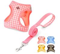 OFFCUP Arnés para Perro y Conjunto de Correa, Arnés Antitirones Reflectante Ajustable, Transpirable Malla Suave Arneses Chaleco para Perro Pequeños Gatos y Cachorros (Rosa, XS)