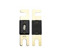 Offgridtec 40A 72V ANL fusible DIN43560/1 5-Set