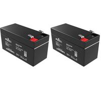 Offgridtec AGM Solar Batería Extremadamente zyklenfest 1,2 Ah 20 stünde 12 V, 2 - 01 - 001975 (Paquete de 2)