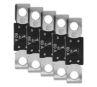 Offgridtec - Juego de fusibles (5 unidades, 60 A, 32 V)