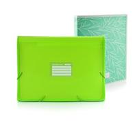 Office Box - Pack Vuelta al Cole: Carpeta Clasificadora de 12 Divisiones, Visores Panorámicos y 80 Etiquetas +Carpeta 4 Anillas 25mm, Calidad Para Todo El Curso by Colorline (Verde Claro+ C.Anillas)