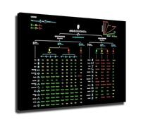 Office Decor Wall Art - Algorithm Complexity Reference Chart on Canvas - Programming Guide for Developer Studio(Unframed,12x18inch(30x45cm))