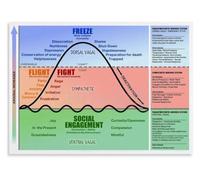 Office Poster Polyvagal State Guide Mental Health Print