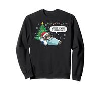 Official Sleep Pajamas Nightgown Sleepy Raccoon Sudadera