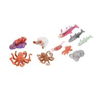 OFFIGAM Modelos en Miniatura del Ciclo de Vida del Salmón y Pulpo para Niños, Figuras Educativas de Plástico Abs, Tamaño Pequeño, Decoración Científica para Aprendizaje y Exhibición