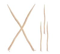 OFFSCH 5 Serpientes de Halloween: Serpiente de Madera Realista con articulaciones onduladas, decoración Espeluznante para Casas embrujadas, Recuerdos de Fiesta, Caja de Tesoro aterradora de 30 cm.