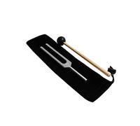 OFFSCH Diapasón De Aleación De Aluminio c Martillo De Silicona y Bolsa Instrumento Curativo Para Pruebas Neurológicas y Evaluación Auditiva Uso Médico y Educativo