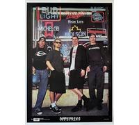 Offspring The - 65 x 90 cm Póster/póster