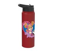 Oficial Paw Patrol Skye Soccer The Big Game Team Player Stainless Steel Insulated Water Bottle