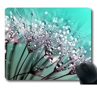 Oficina Mouse Pad blowballs Close up Diente de león 132419 Ambiente Acogedor Tema de una Flor Natural Hermosa
