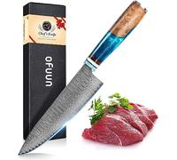 oFuun Cuchillo Cocina Damasco, 20cm Cuchillo Chef Japones de Acero Damasco de 67 Capas, Mango de Resina Azul, Cuchillo de Cocinero Profesional para Cortar Verdura, Fruta, Carne y Pescado