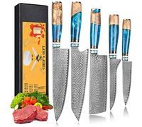oFuun Set Cuchillo Cocina 5 Piezas, 67 Capas de Acero de Damasco Profesional Juegos de Cuchillo de Cocinero, Cuchillo Chef Kiritsuke Nakiri Deshuesar Universal con Mango Resina Azul