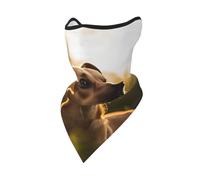 OFYGJFB Protector para el cuello y la cara. El perro está de pie en la hierba bajo la puesta de sol, pasamontañas, bufanda, máscara, resistente al viento, transpirable, para hombres y mujeres, esquí