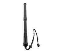OGJFD Resortes de Gas para Maletero Soporte De Elevación De Portón Trasero para Land para Rover para Range para Rover Sport 2014-2022 LR044161 LR104909 LR126173 CPLA70354BE Accessories(Left Side)