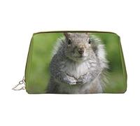 OGNOT Bolsa de aseo para perros y gatos lluviosos, organizador de viaje para hombres y mujeres, bolsa de maquillaje de cuero ligero, bolsa de cosméticos pequeña, ardilla rojo, Talla única