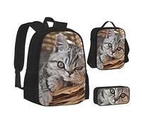 OGNOT Mochila escolar con estampado de gatos, para adolescentes, niñas, niños, bolsas escolares con bolsa de almuerzo, bolsa de lápices, juegos de mochila de viaje, Gato, Talla única