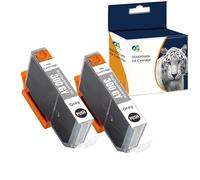 OGOUGUAN - Cartucho de tinta compatible con PFI-300 PFI-300PBK 14,5 ml de repuesto para Canon imagePROGRAF PRO-300 (2, gris)