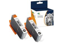 OGOUGUAN - Cartucho de tinta compatible con PFI-300 PFI-300PBK 14,5 ml de repuesto para Canon imagePROGRAF PRO-300 (2, Chroma Optimizer)