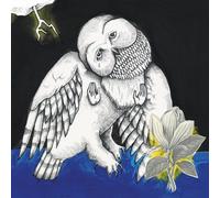 Ohia, The Magnolia Electric Co. Portada del álbum, póster, arte de pared. Impresión o totalmente enmarcado disponible. Tamaño real de las cubiertas de vinilo originales. (solo impresión)