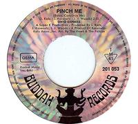 OHIO EXPRESS - pinch me (baby, convince me) / peanuts 45 rpm single