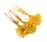 OHPHCALL 3 Manojos de Ramos de Gypsophila Seca Amarilla , Flores Pequeñas sin Necesidad de Riego para Decoración de Oficina y Centro de Mesa