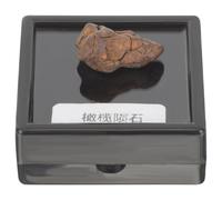 OHPHCALL Espécimen Didáctico de Meteorito Real de Litosiderita para Enseñanza, Muestra Científica Pequeña y Ligera Adecuado para Fines Educativos y Decoración en Fiestas