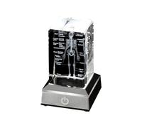Ohsilv Modelo de Esqueleto Humano, Regalo de Anatomía, Modelo de Esqueleto de Cristal, Estatua Médica, Artículo de Óseo para Estudiantes de Medicina
