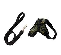 Ohulelks Conjunto de Correa de ArnéS para Perros ArnéS de Collar de de Perro Transpirable Ajustable ArnéS para Perro Correa para el Pecho de Mascota Accesorios Letra M